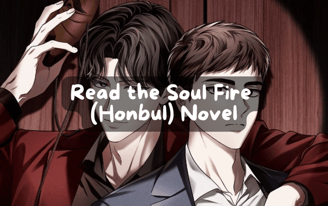 Cover Image for Read Soul Fire Novel in English
