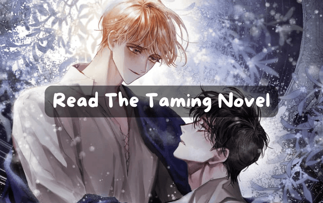 Cover Image for Read The Taming Novel