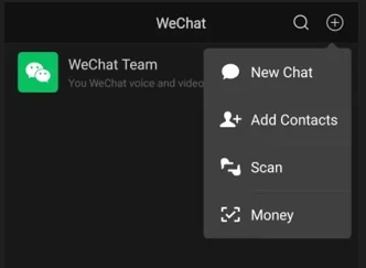 WeChat scan option